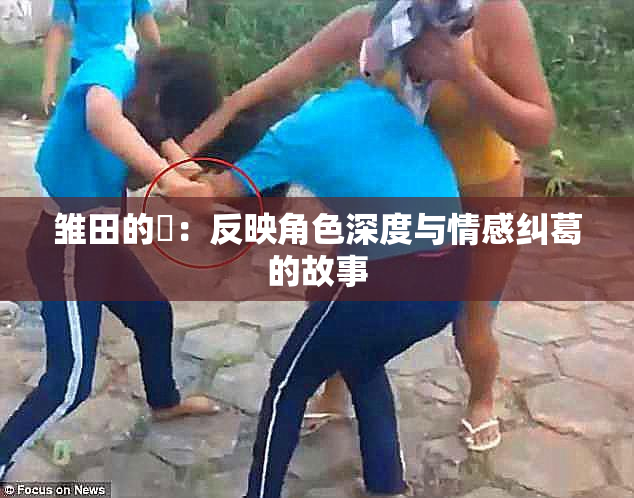 雏田的婬：反映角色深度与情感纠葛的故事
