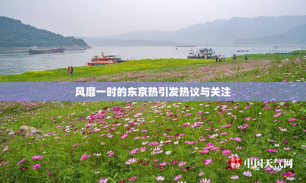 风靡一时的东京热引发热议与关注