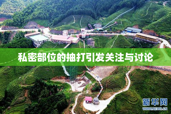 私密部位的抽打引发关注与讨论