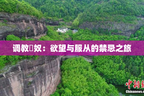 调教婬奴：欲望与服从的禁忌之旅