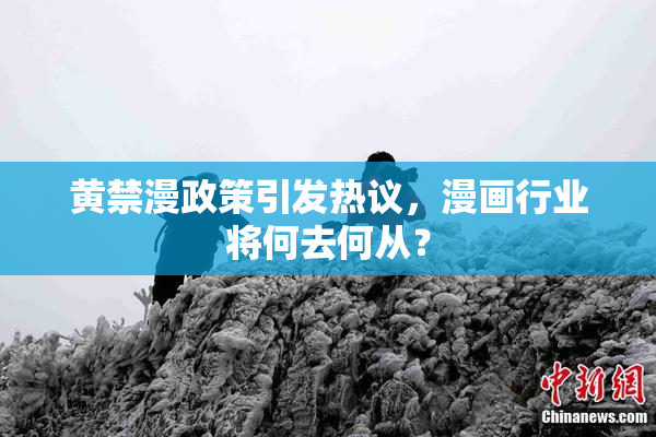 黄禁漫政策引发热议，漫画行业将何去何从？