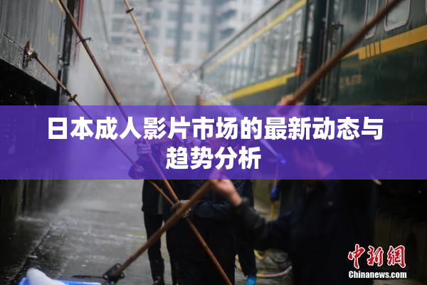 日本成人影片市场的最新动态与趋势分析