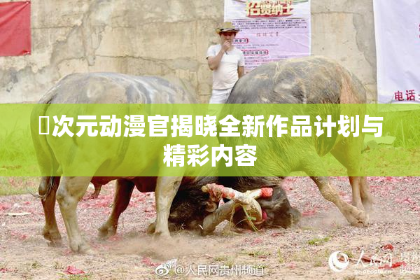 囧次元动漫官揭晓全新作品计划与精彩内容