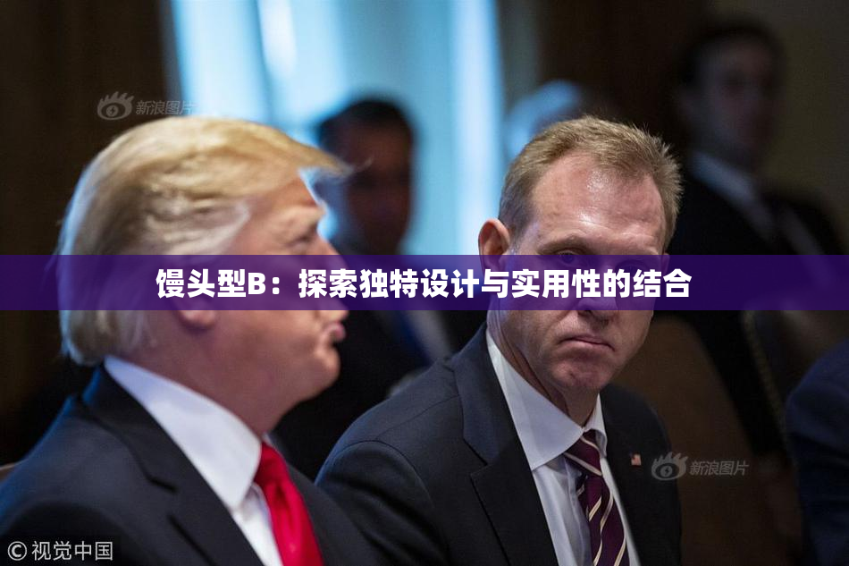 馒头型B：探索独特设计与实用性的结合