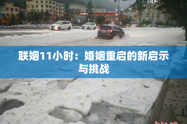 联姻11小时：婚姻重启的新启示与挑战