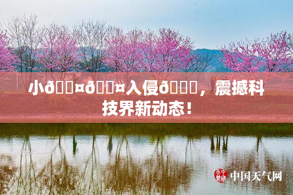 小🐤🐤入侵🍑，震撼科技界新动态！