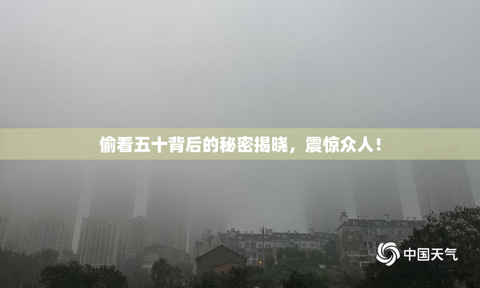 偷看五十背后的秘密揭晓，震惊众人！