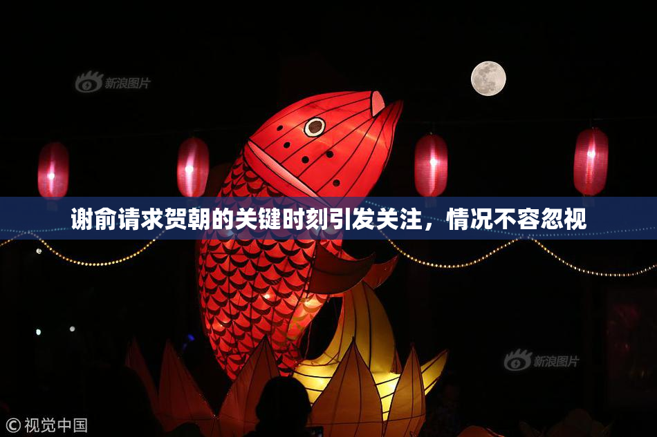 谢俞请求贺朝的关键时刻引发关注，情况不容忽视