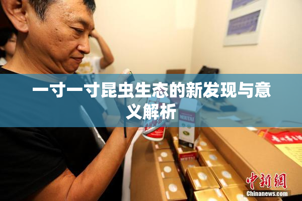 一寸一寸昆虫生态的新发现与意义解析