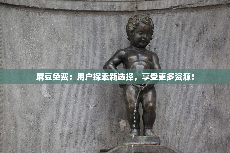 麻豆免费：用户探索新选择，享受更多资源！