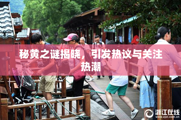 秘黄之谜揭晓，引发热议与关注热潮
