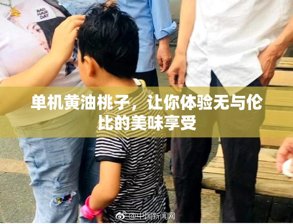 单机黄油桃子，让你体验无与伦比的美味享受