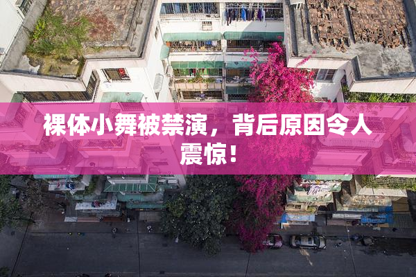 裸体小舞被禁演，背后原因令人震惊！