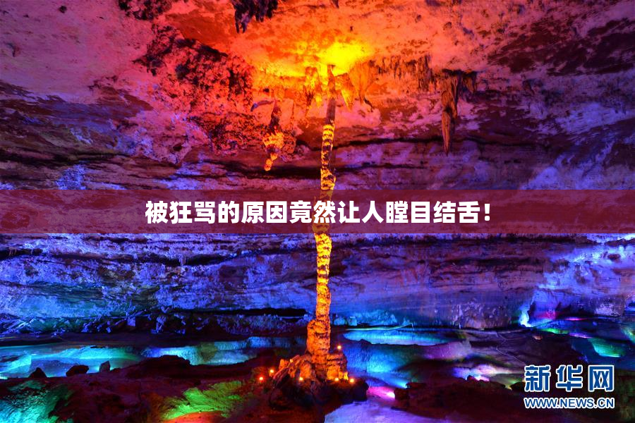 被狂骂的原因竟然让人瞠目结舌！