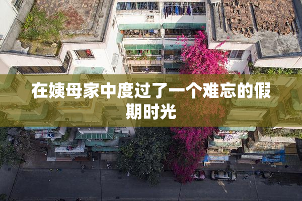 在姨母家中度过了一个难忘的假期时光