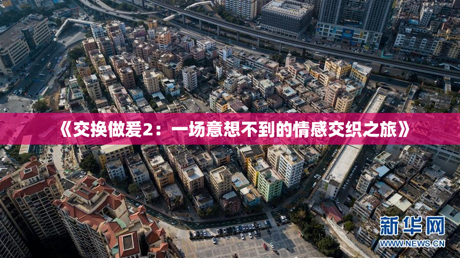 《交换做爰2：一场意想不到的情感交织之旅》