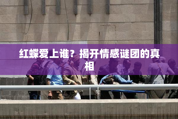 红蝶爱上谁？揭开情感谜团的真相