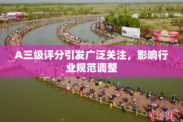 A三级评分引发广泛关注，影响行业规范调整