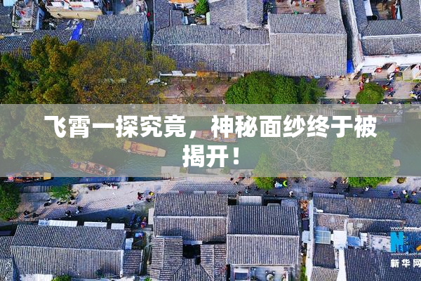 飞霄一探究竟，神秘面纱终于被揭开！