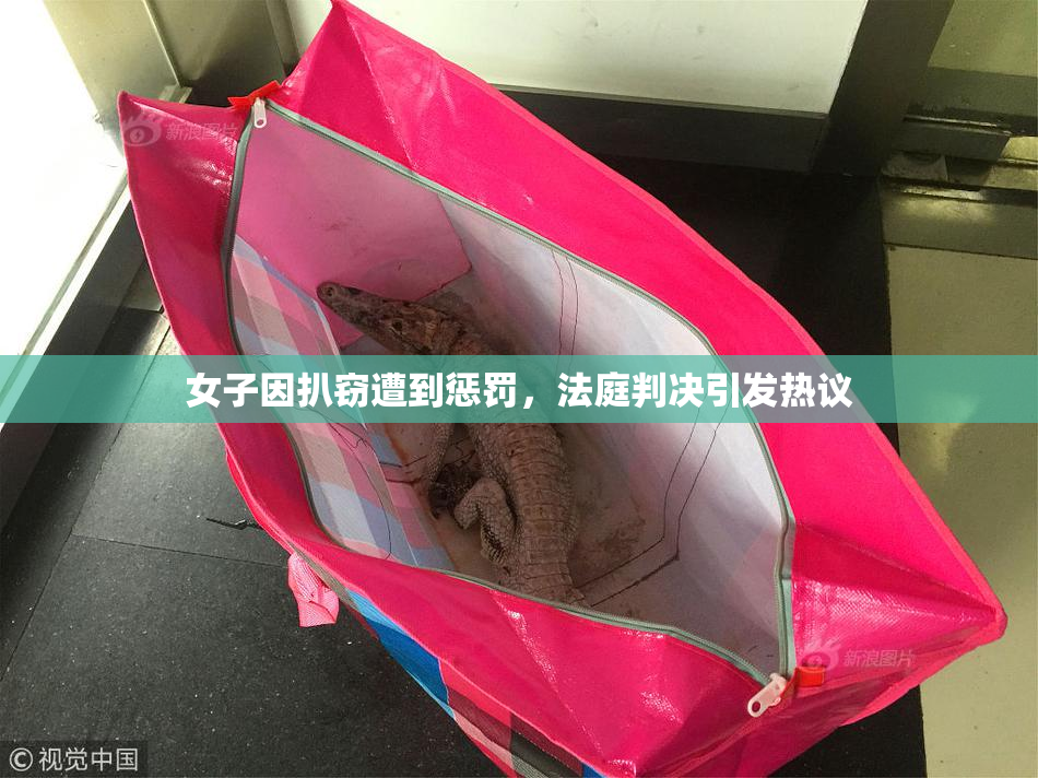 女子因扒窃遭到惩罚，法庭判决引发热议