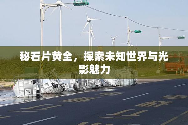 秘看片黄全，探索未知世界与光影魅力