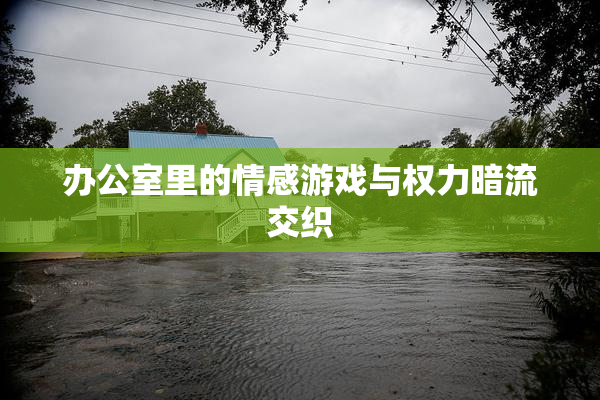 办公室里的情感游戏与权力暗流交织