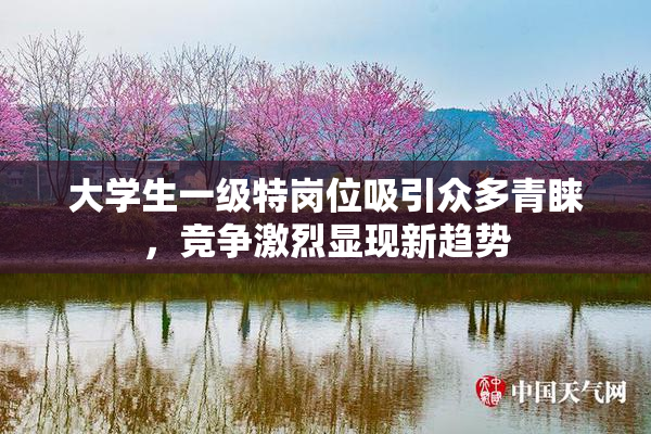 大学生一级特岗位吸引众多青睐，竞争激烈显现新趋势