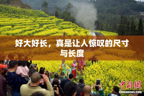 好大好长，真是让人惊叹的尺寸与长度