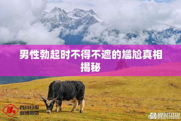 男性勃起时不得不遮的尴尬真相揭秘