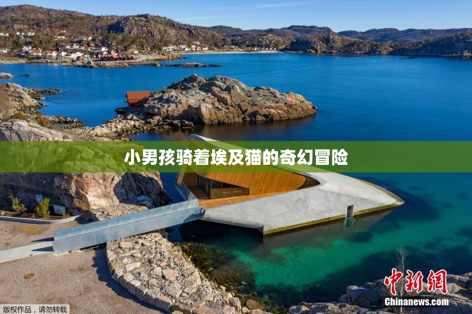 小男孩骑着埃及猫的奇幻冒险