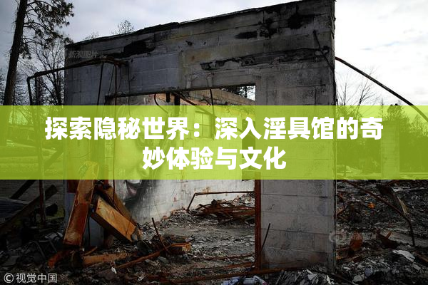 探索隐秘世界：深入淫具馆的奇妙体验与文化