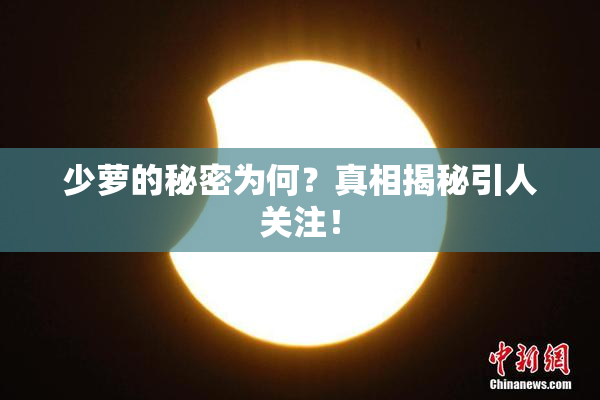 少萝的秘密为何？真相揭秘引人关注！