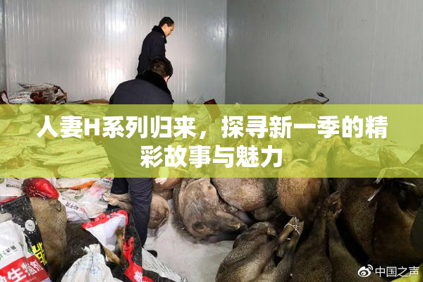 人妻H系列归来，探寻新一季的精彩故事与魅力