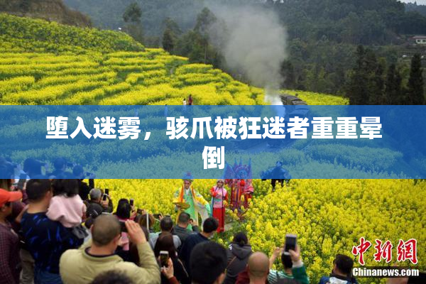 堕入迷雾，骇爪被狂迷者重重晕倒