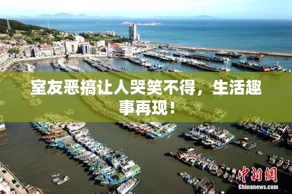 室友恶搞让人哭笑不得，生活趣事再现！