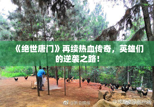 《绝世唐门》再续热血传奇，英雄们的逆袭之路！