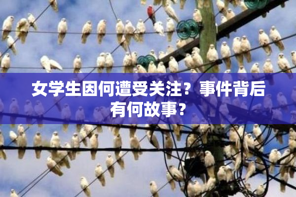 女学生因何遭受关注？事件背后有何故事？