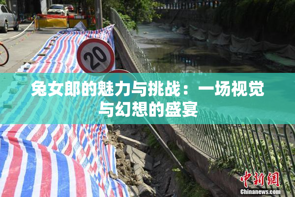 兔女郎的魅力与挑战：一场视觉与幻想的盛宴