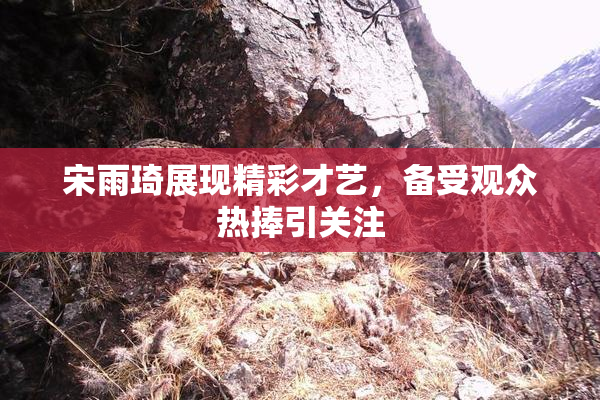 宋雨琦展现精彩才艺，备受观众热捧引关注