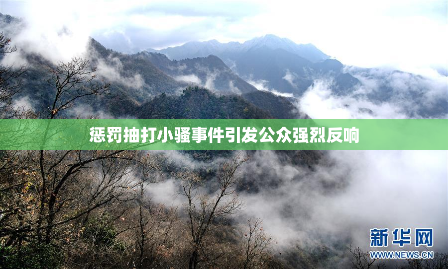 惩罚抽打小骚事件引发公众强烈反响