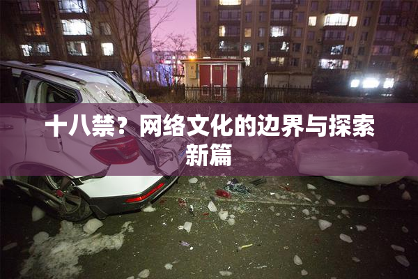 十八禁？网络文化的边界与探索新篇
