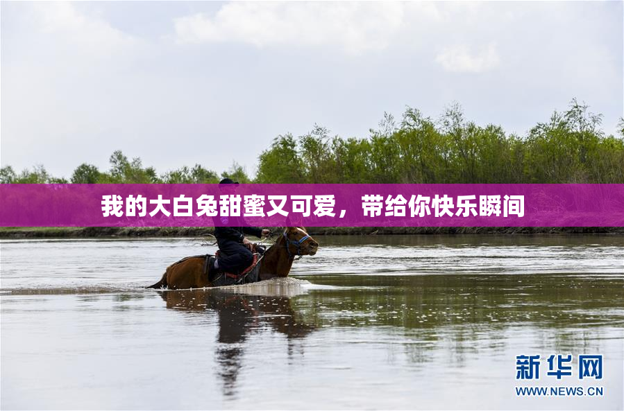 我的大白兔甜蜜又可爱，带给你快乐瞬间