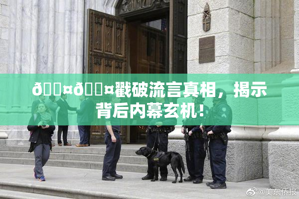 🐤🐤戳破流言真相，揭示背后内幕玄机！