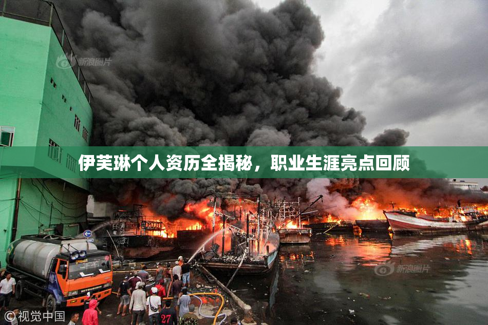 伊芙琳个人资历全揭秘，职业生涯亮点回顾