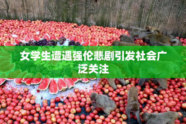 女学生遭遇强伦悲剧引发社会广泛关注