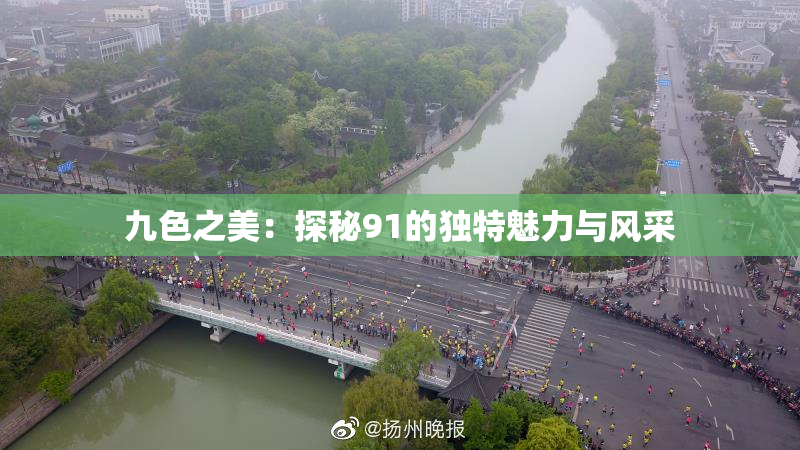 九色之美：探秘91的独特魅力与风采