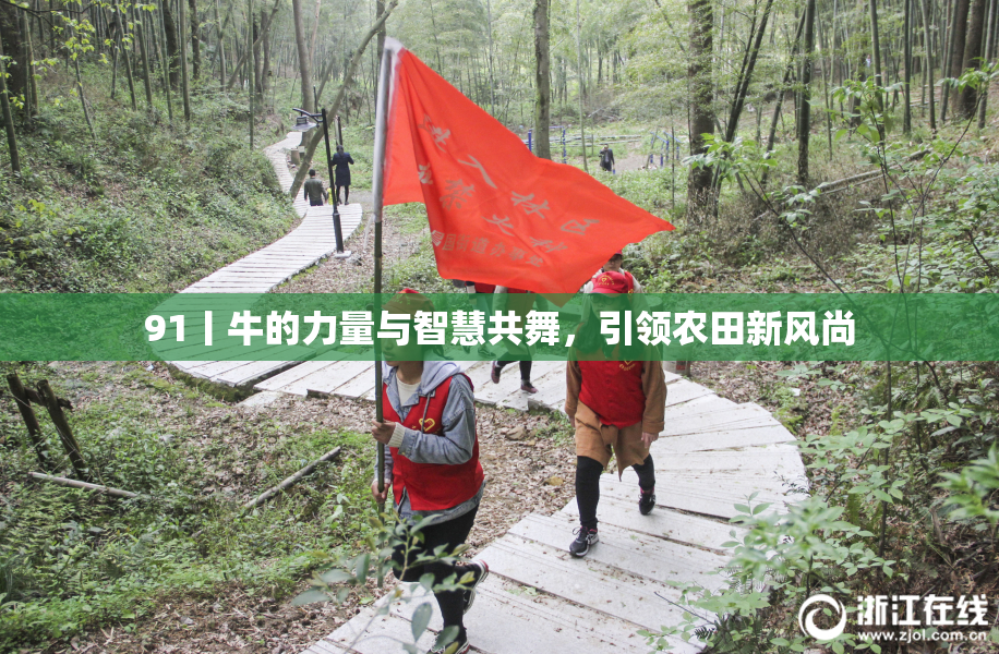 91丨牛的力量与智慧共舞，引领农田新风尚