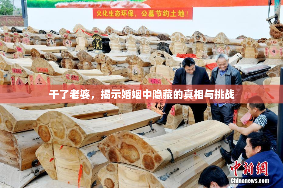 干了老婆，揭示婚姻中隐藏的真相与挑战
