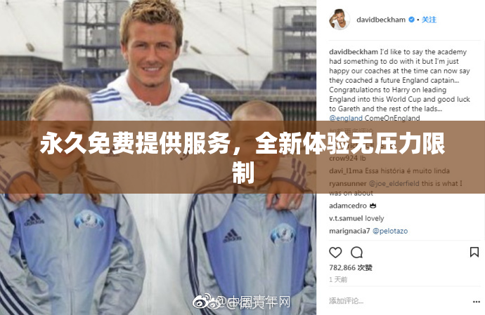 永久免费提供服务，全新体验无压力限制