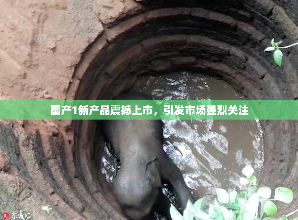 国产1新产品震撼上市，引发市场强烈关注